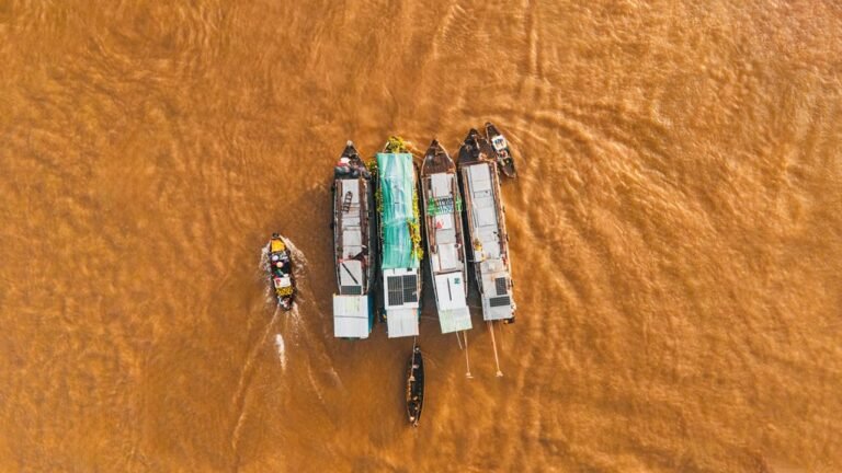 market activity report summary